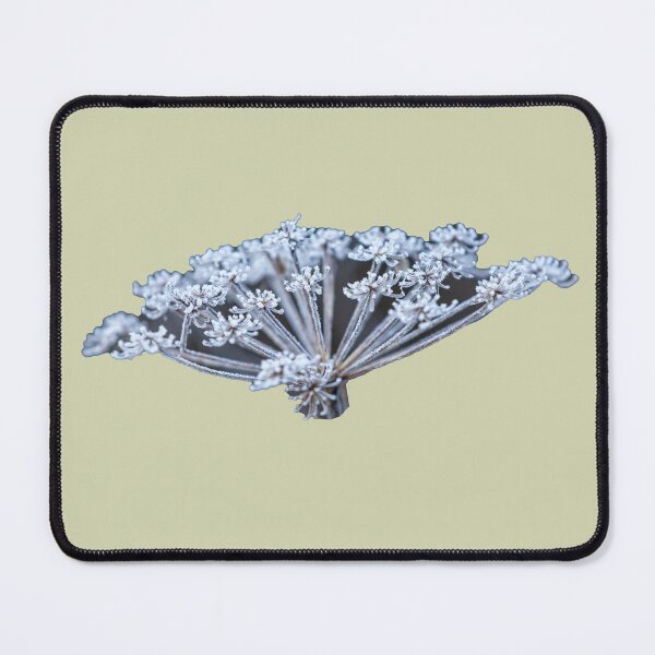 Item preview, Frosted wild Parsley designed and sold by Dalyndigital Photography.
