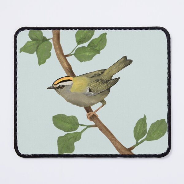 Item preview, Common firecrest digital drawing designed and sold by Bwiselizzy.