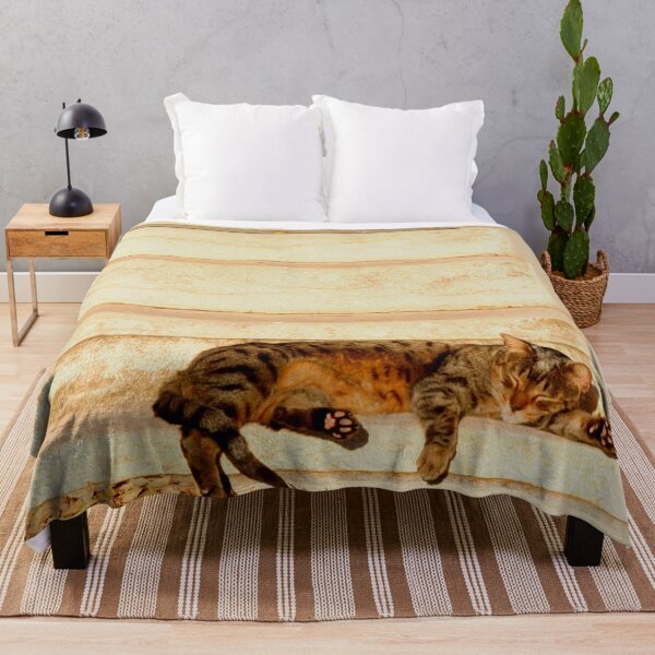 Item preview, The sun shines on all cats equally designed and sold by Anna Lemos.
