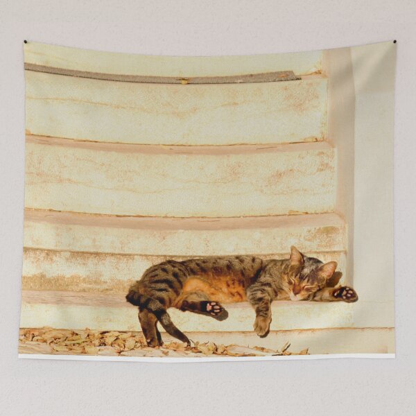 Item preview, The sun shines on all cats equally designed and sold by Anna Lemos.