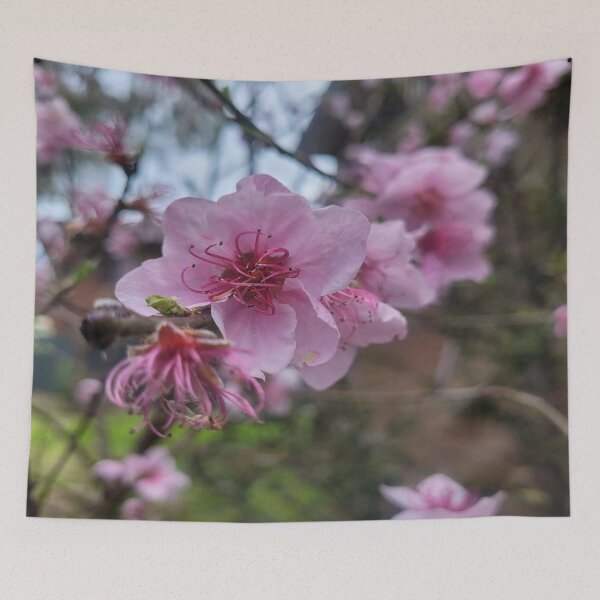 Artikelvorschau, Azalea Pink Blumendecken Wandteppiche Vorhänge entworfen und verkauft von Chaoticzarts.