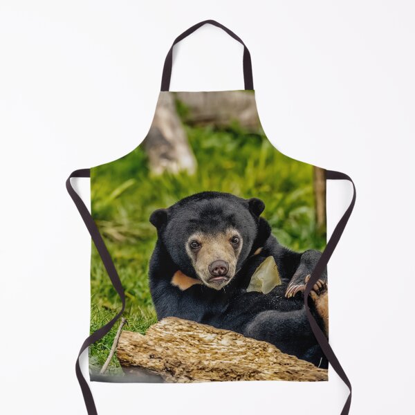 Item preview, Sun Bear Cub designed and sold by Darren Wilkes.