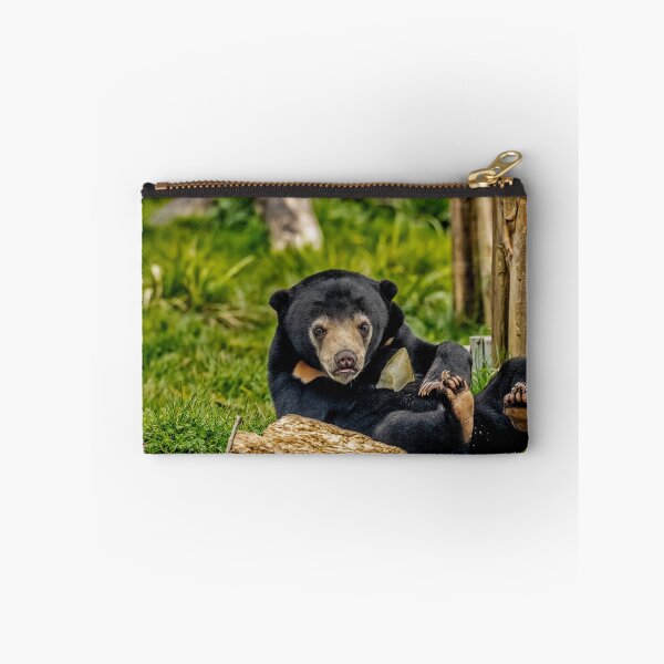 Item preview, Sun Bear Cub designed and sold by Darren Wilkes.