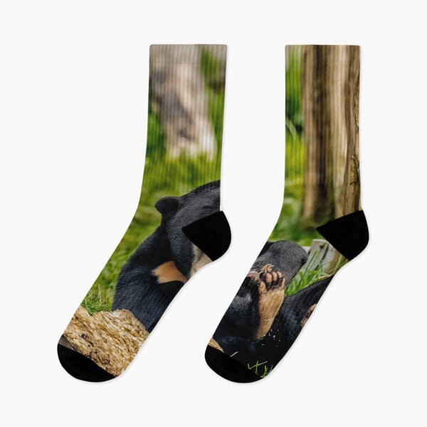 Item preview, Sun Bear Cub designed and sold by Darren Wilkes.