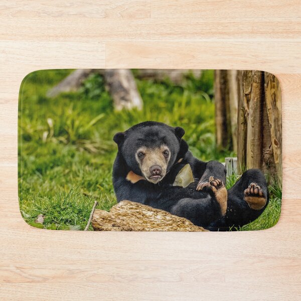 Item preview, Sun Bear Cub designed and sold by Darren Wilkes.