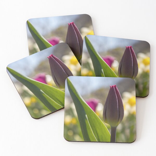 Item preview, Dark pink tulip in the sun  designed and sold by Camille Bouchard.