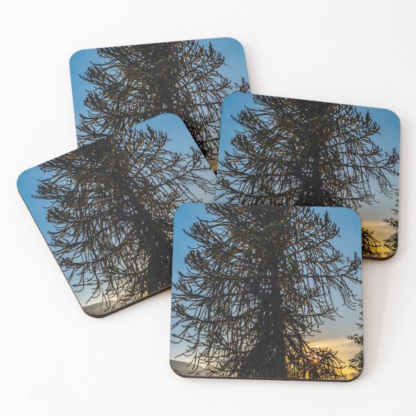 Item preview, Beautiful Tree and Pampas Grass with Sunlight designed and sold by Mats Silvan.