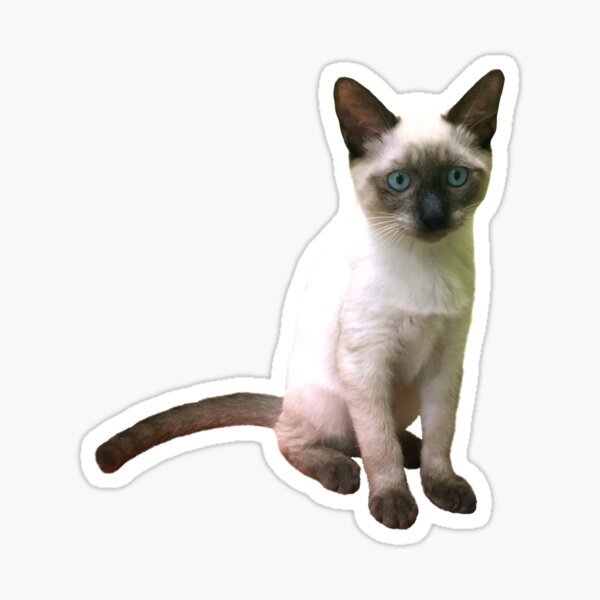 Item preview, Siamese Kitten designed and sold by misimichu.