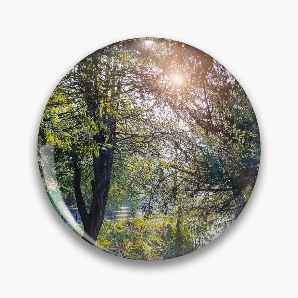 Item preview, Wintry Sunshine designed and sold by Graz-Photos.