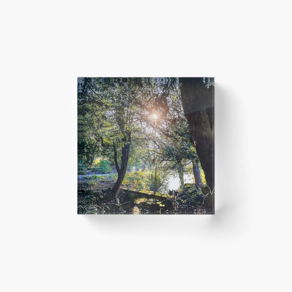 Item preview, Wintry Sunshine designed and sold by Graz-Photos.