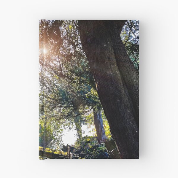 Item preview, Wintry Sunshine designed and sold by Graz-Photos.