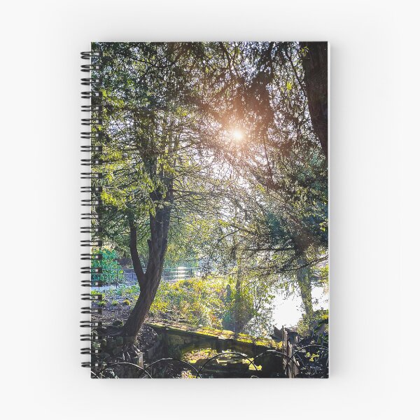 Item preview, Wintry Sunshine designed and sold by Graz-Photos.