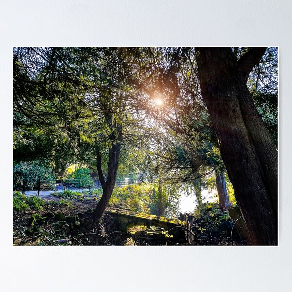 Item preview, Wintry Sunshine designed and sold by Graz-Photos.