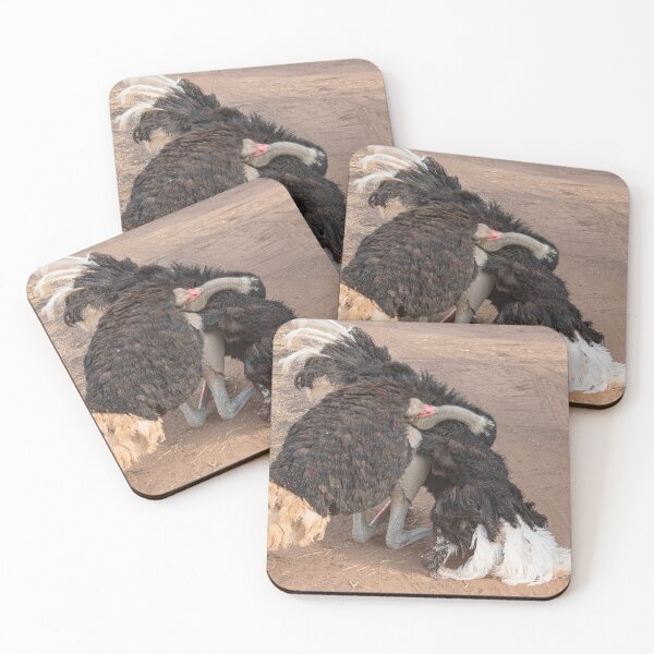 Item preview, Ostrich Display designed and sold by Graz-Photos.
