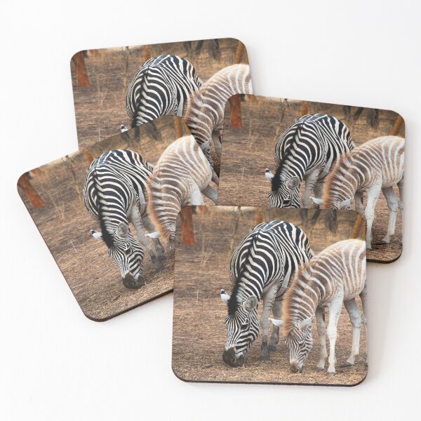 Item preview, Zebras designed and sold by Graz-Photos.