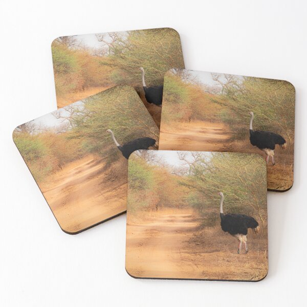Item preview, Ostrich designed and sold by Graz-Photos.