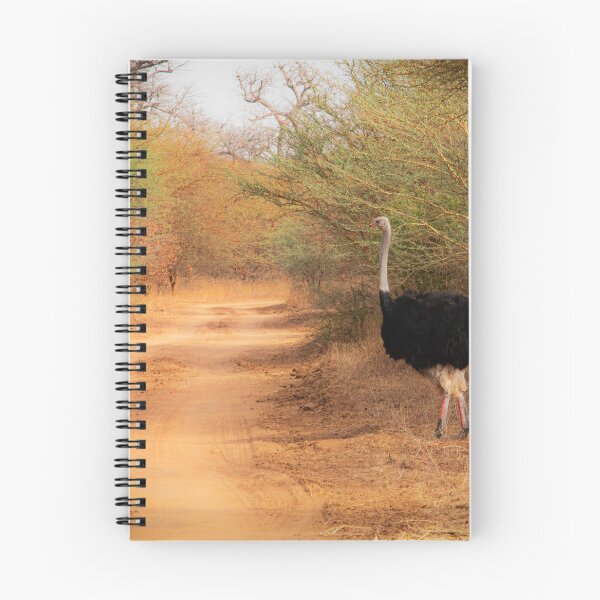 Item preview, Ostrich designed and sold by Graz-Photos.