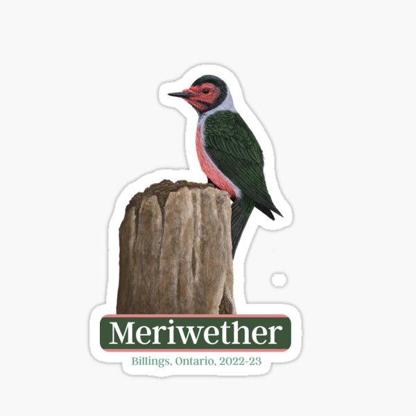 Meriwether Lewis - LEWO Sticker