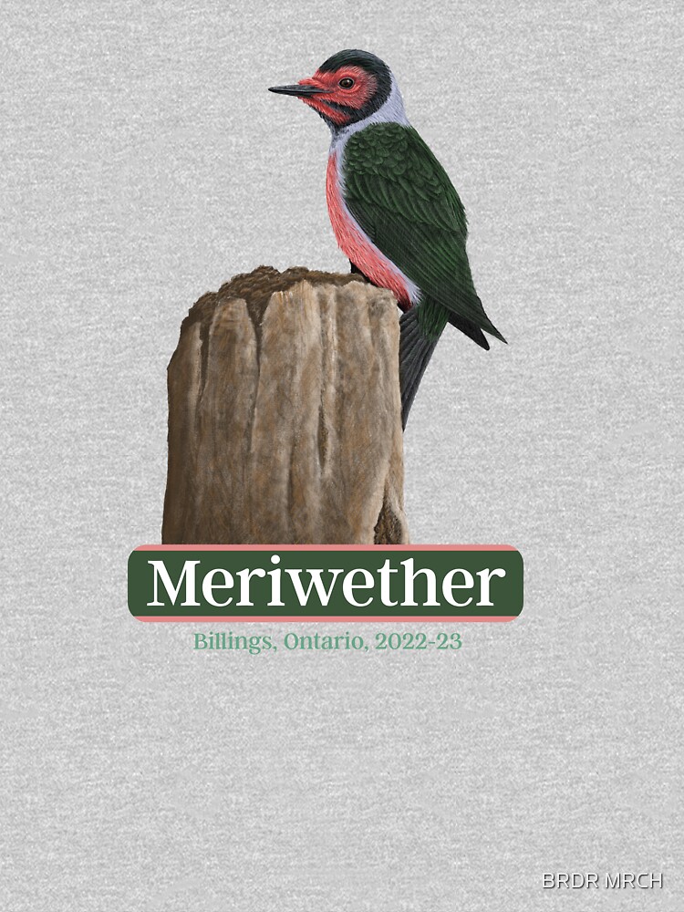Thumbnail 7 of 7, Classic T-Shirt, Meriwether Lewis - LEWO designed and sold by Paul & Dustin.