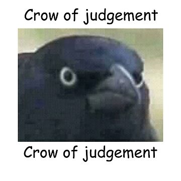 "Crow of judgement" Sticker for Sale by BreadIsGay Redbubble