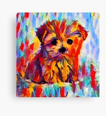 Yorkshire Terrier Canvas Print