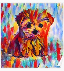 Yorkshire Terrier Poster