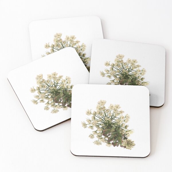 Item preview, Queen Anne's Lace Wildflower | White wildflower | Delicate cottage core flowers designed and sold by EveryDayDabble.