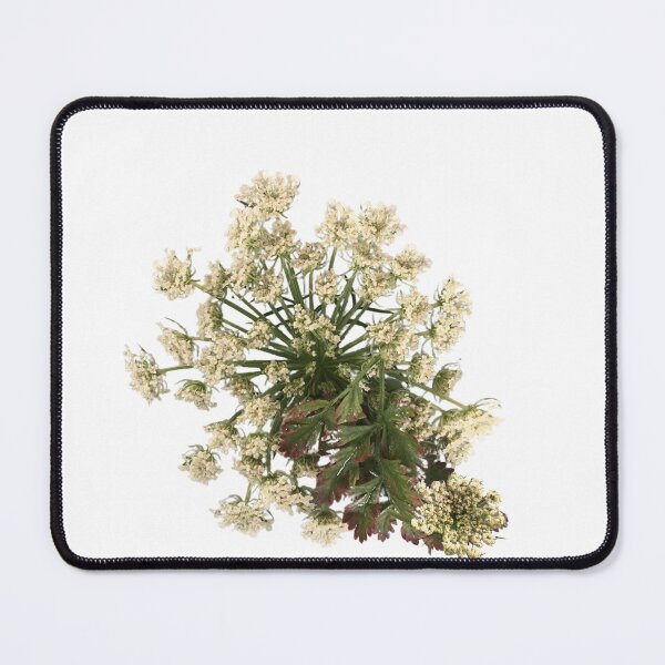 Item preview, Queen Anne's Lace Wildflower | White wildflower | Delicate cottage core flowers designed and sold by EveryDayDabble.