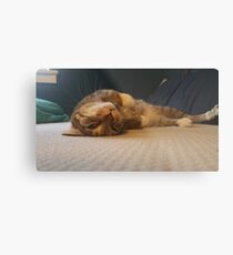 Spock Metal Print