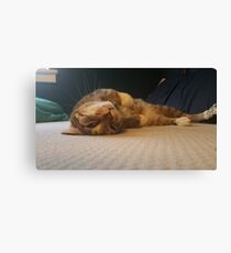 Spock Canvas Print