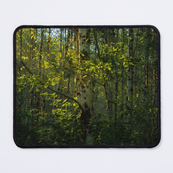 Item preview, Natures Healing Forest Light designed and sold by JenneRPhoto.