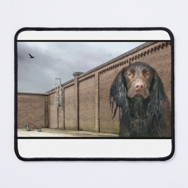 Item preview, My Dog and Me designed and sold by Paul ter Wal.