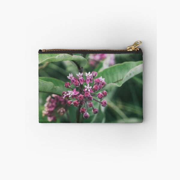 Item preview, Swamp Milkweed (Asclepias incarnata) in Nature designed and sold by Phanaturalis.