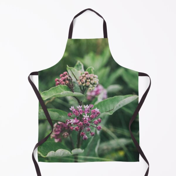 Item preview, Swamp Milkweed (Asclepias incarnata) in Nature designed and sold by Phanaturalis.