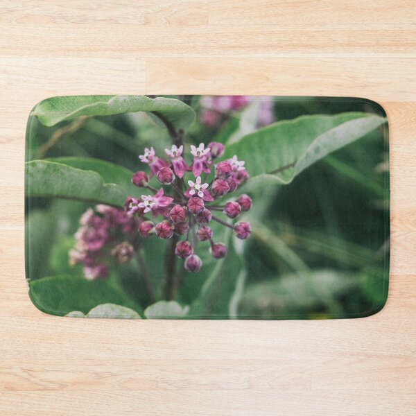 Item preview, Swamp Milkweed (Asclepias incarnata) in Nature designed and sold by Phanaturalis.