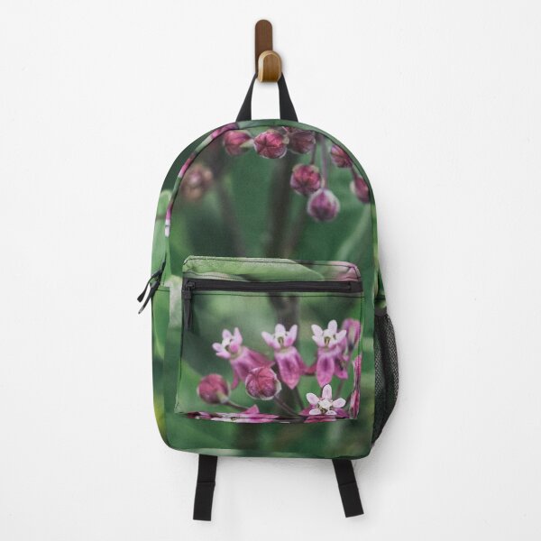 Item preview, Swamp Milkweed (Asclepias incarnata) in Nature designed and sold by Phanaturalis.