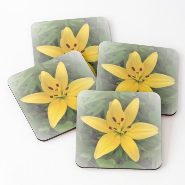 Item preview, Yellow Asiatic Lily 2 designed and sold by Scott and Mary Schneider art_photography.