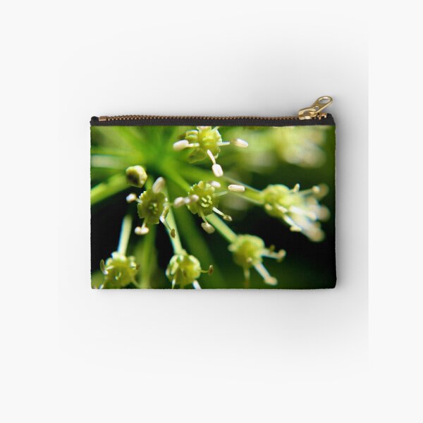 Item preview, Wild Sarsaparilla II designed and sold by Kathleen Daley.