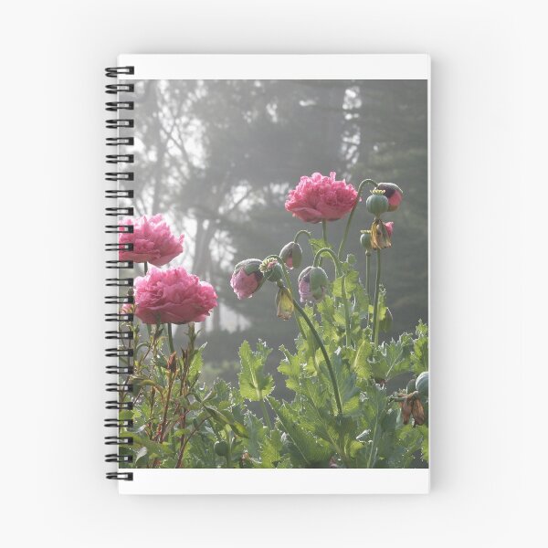 Item preview, Poppies designed and sold by Denzil.