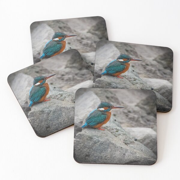 Item preview, Kingfisher on the rocks designed and sold by Willtompsett.
