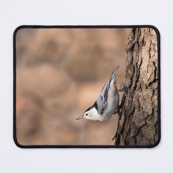 Item preview, White breasted nuthatch upside down designed and sold by KRFNatureGifts.