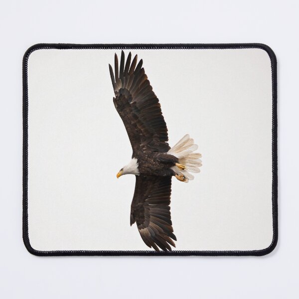 Item preview, Bald eagle flying with full wingspan designed and sold by KRFNatureGifts.