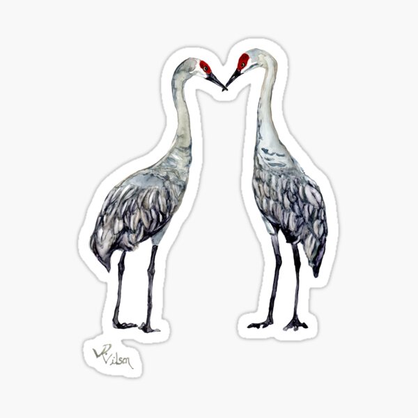 Item preview, Sandhill Cranes Kissing designed and sold by DReneeWilson.