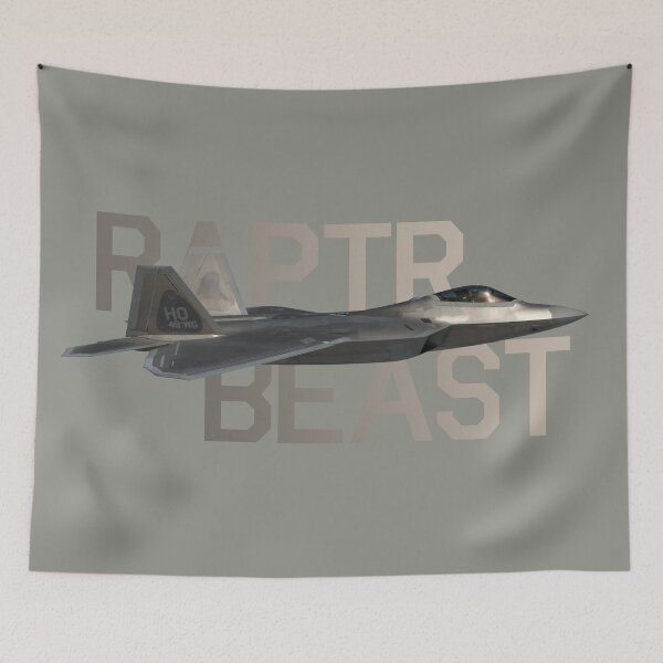 Item preview, RAPTR BEAST - HO 49th WG designed and sold by boltjesdesign.