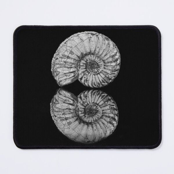 Item preview, Fossil / shell in black and white designed and sold by marcrolandscape.