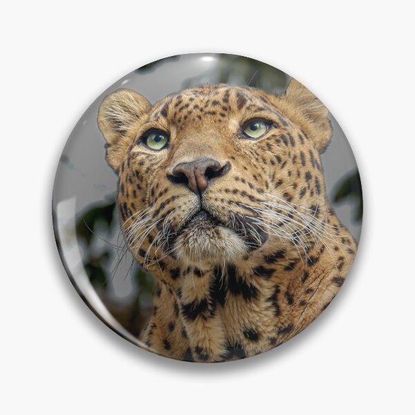 Item preview, Leopard designed and sold by Magia del Norte.