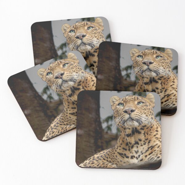 Item preview, Leopard designed and sold by Magia del Norte.