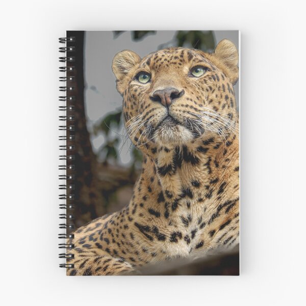 Item preview, Leopard designed and sold by Magia del Norte.