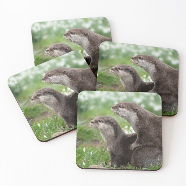 Artikelvorschau, 2 Otter zwischen den Schneeglöckchen entworfen und verkauft von haylsjackson.