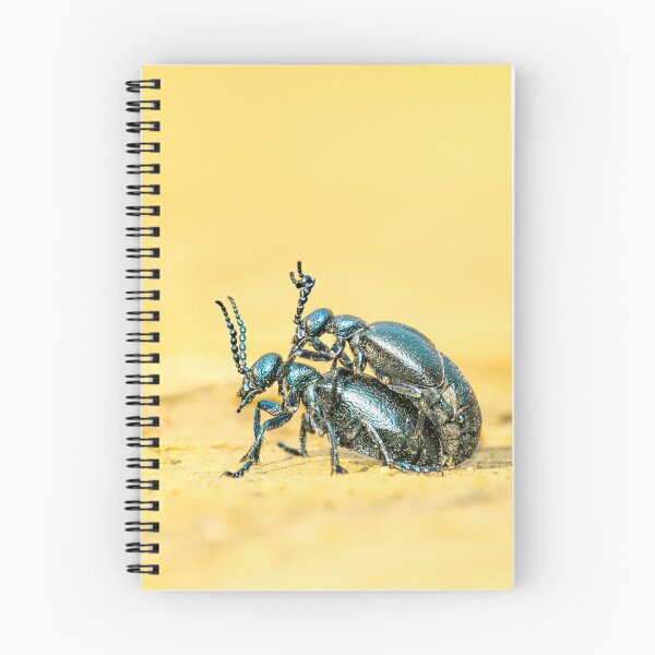 Item preview, A bug's life designed and sold by Golemovic.